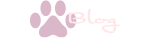 お役立ちコラム