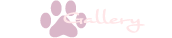 ギャラリー